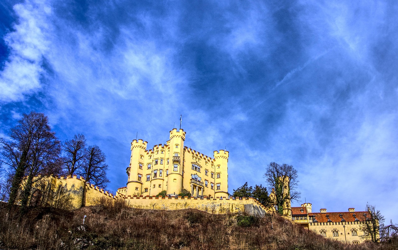 羊种价格分析,影响因素及市场动态探讨