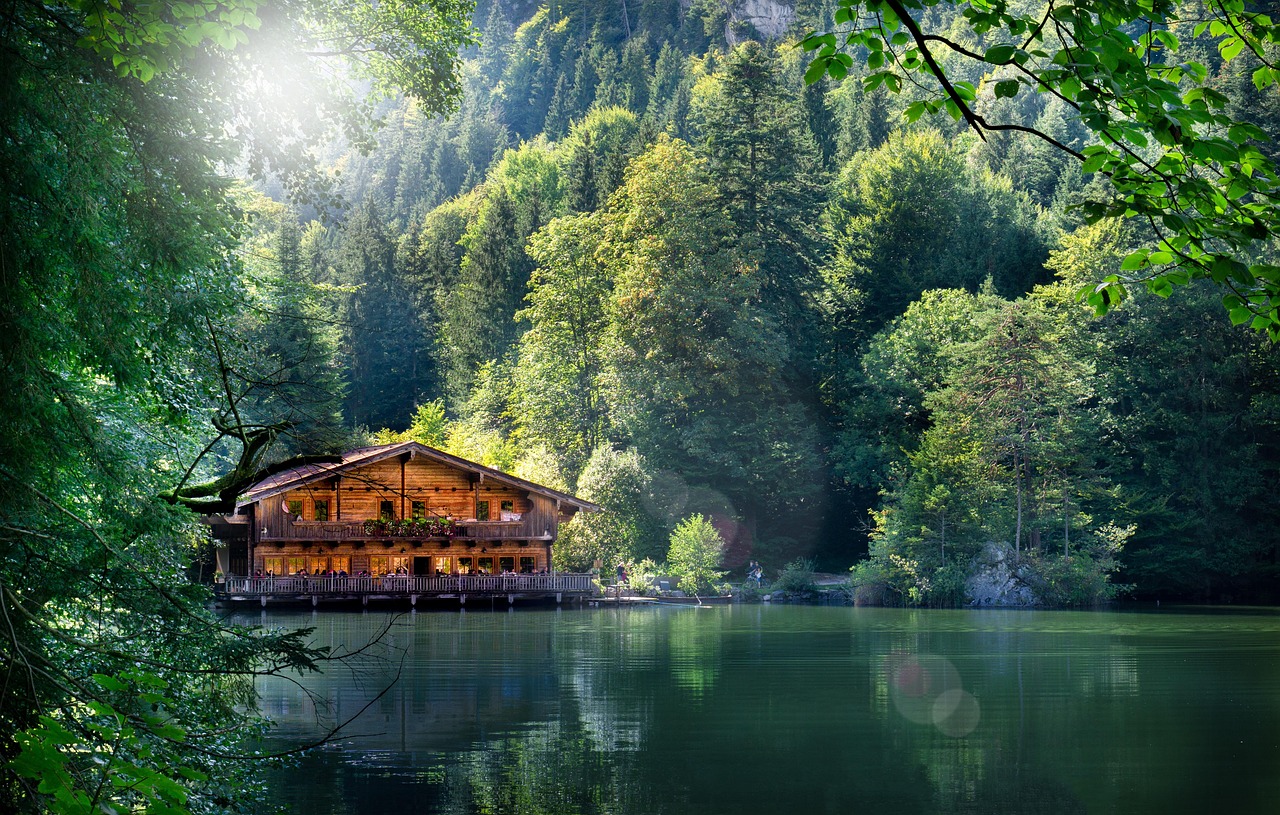 缙云县资讯概览,最新动态与热点事件速递