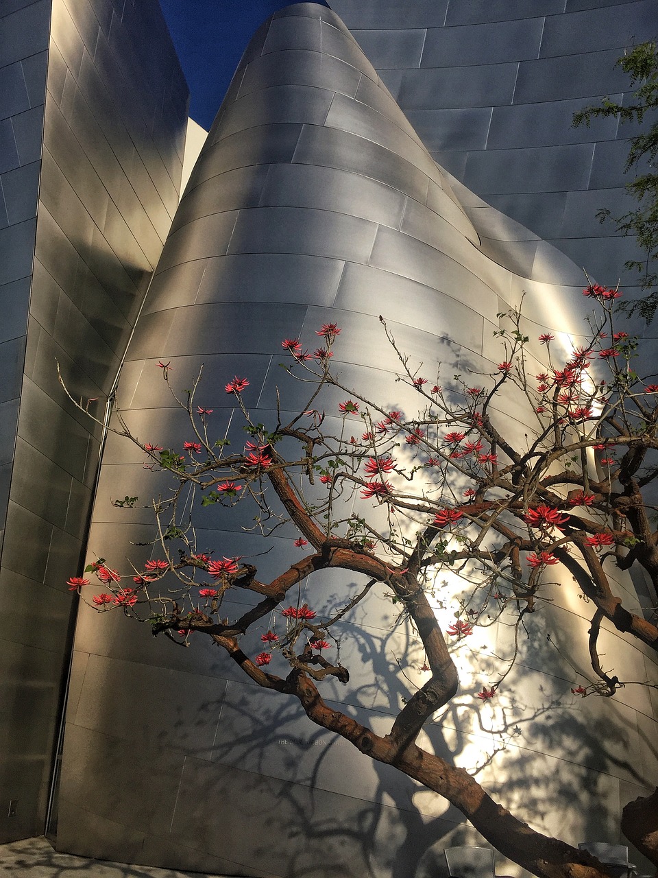 禹州高铁站建设进展、最新动态与未来展望