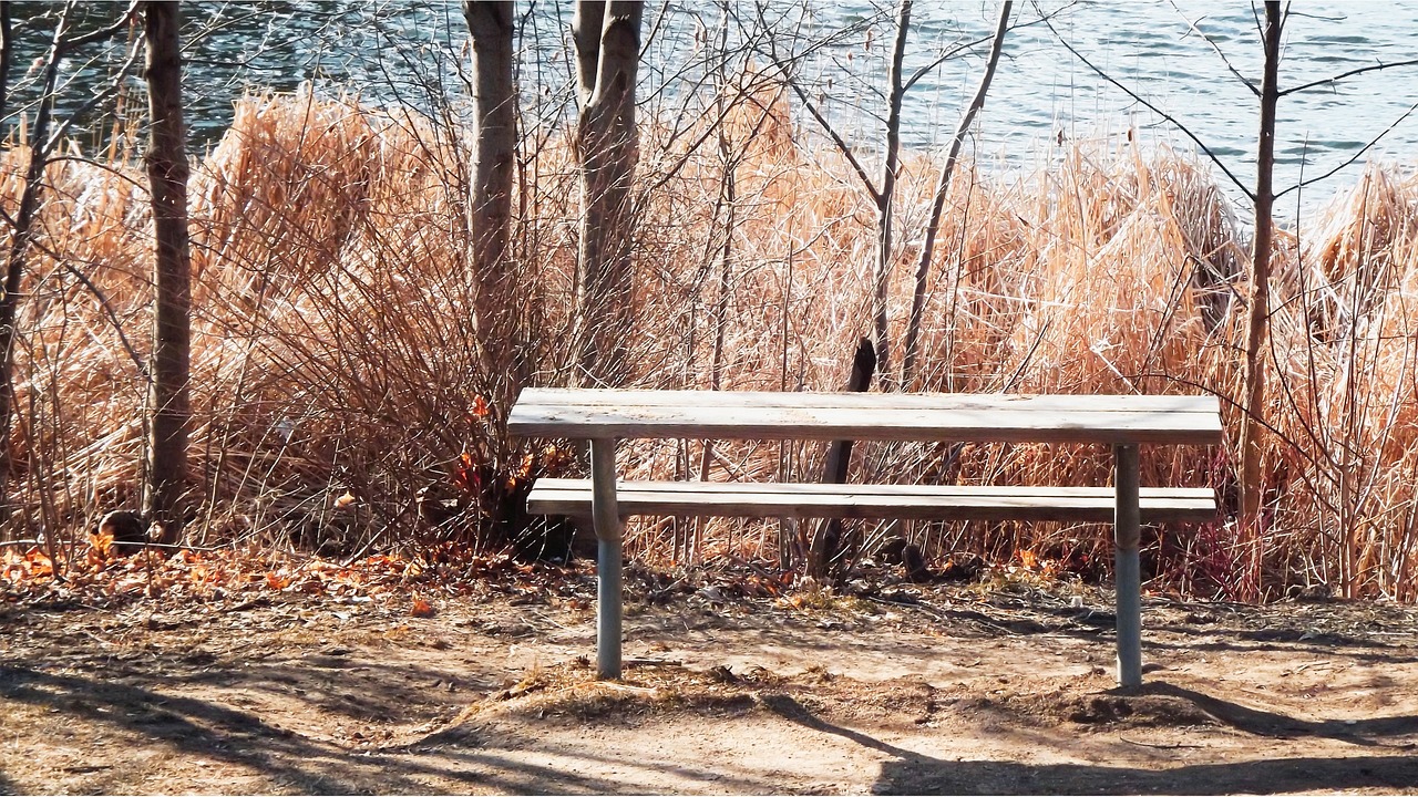 乐天最新动态，持续创新，多元发展之路