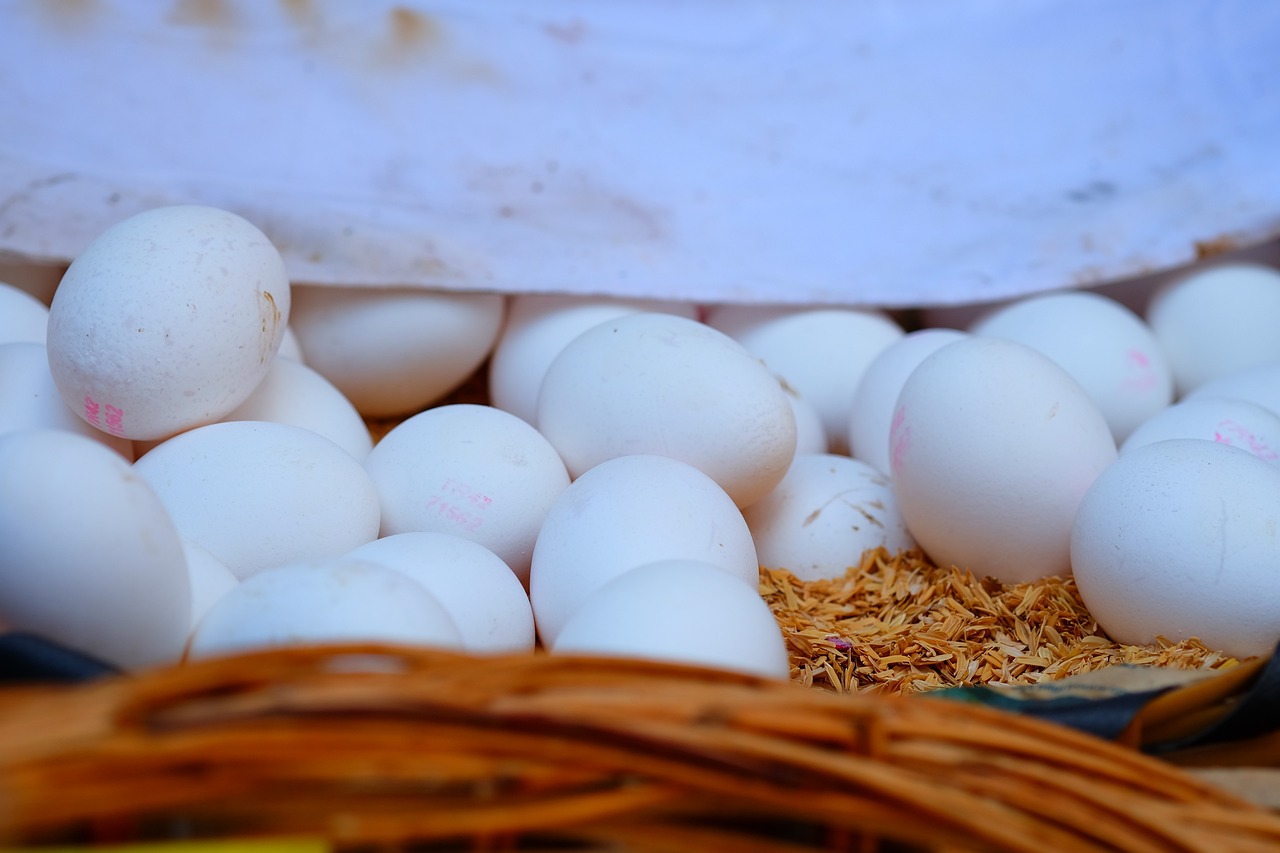 今日大蒜价格动态，市场走势分析与预测及实时价格更新