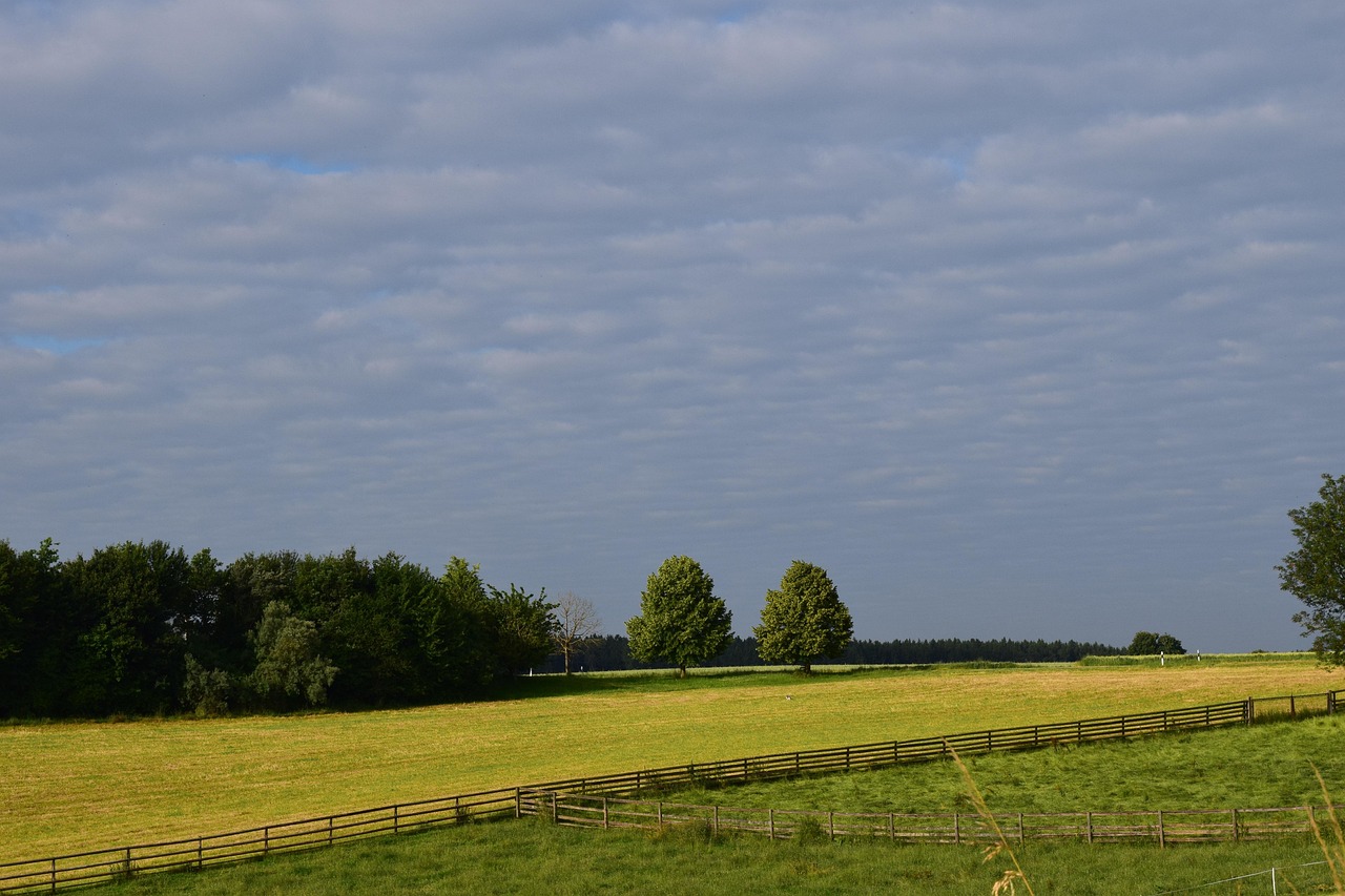 间宫夕贵最新娱乐产业动态揭秘，探寻其在娱乐产业的崭新资讯
