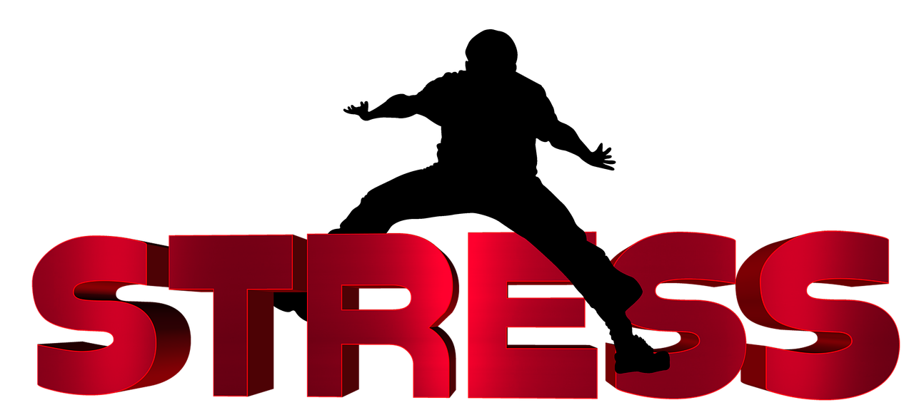 富锦房产交易信息详解，最新交易动态一网打尽