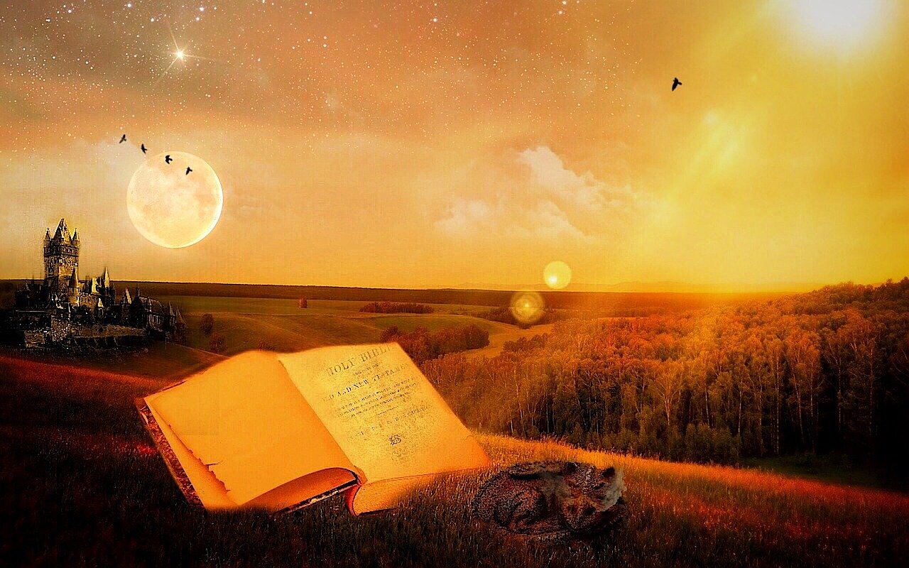 深度解析与观感分享，极道之妻电影解读与赏析