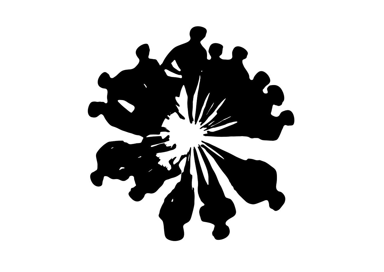 中美深化交流与合作，共同应对全球挑战的最新动态 2017年回顾