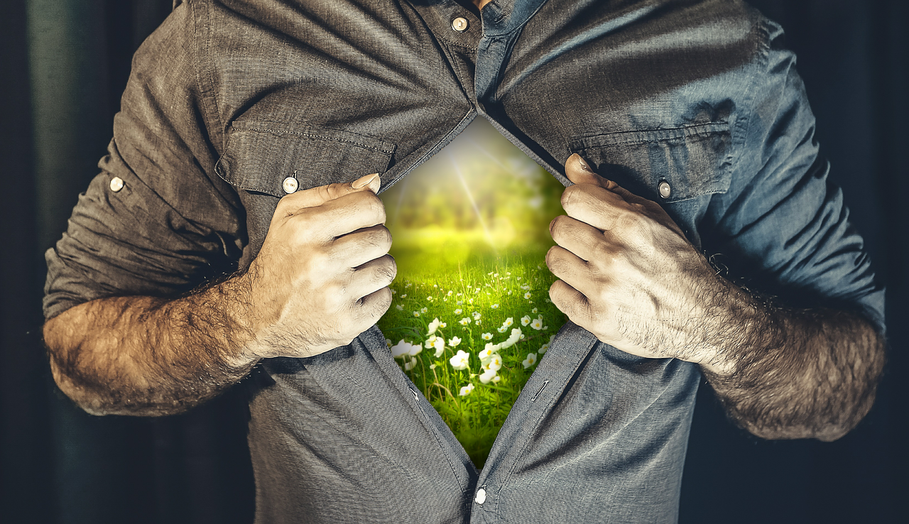 探究明星比例在社会中的深层影响与意义