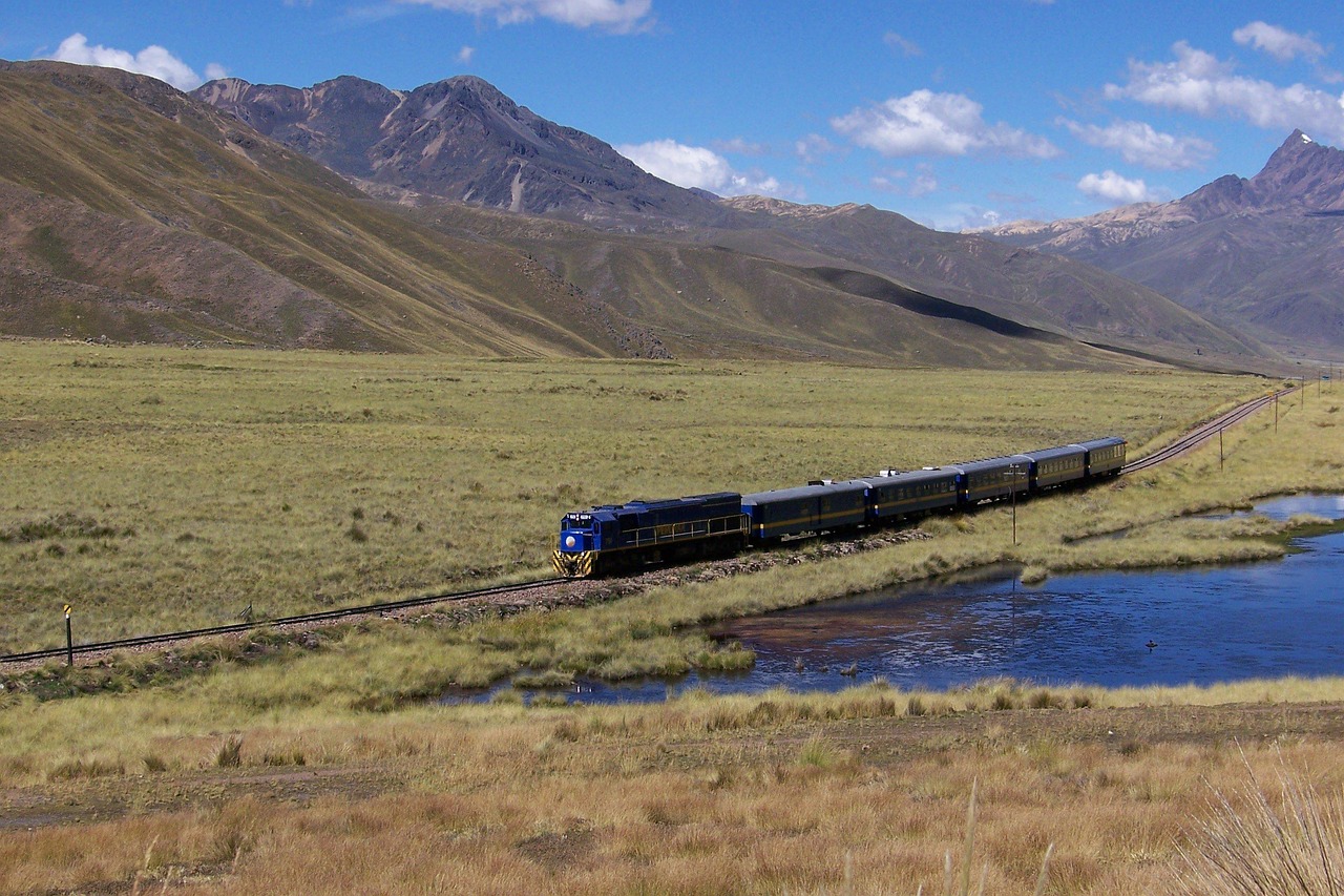 念如丝缕 第10页