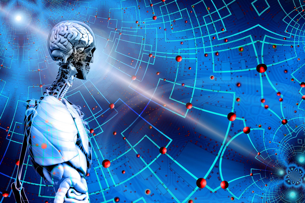 丰乐资讯展望2025，创新与融合的未来之路