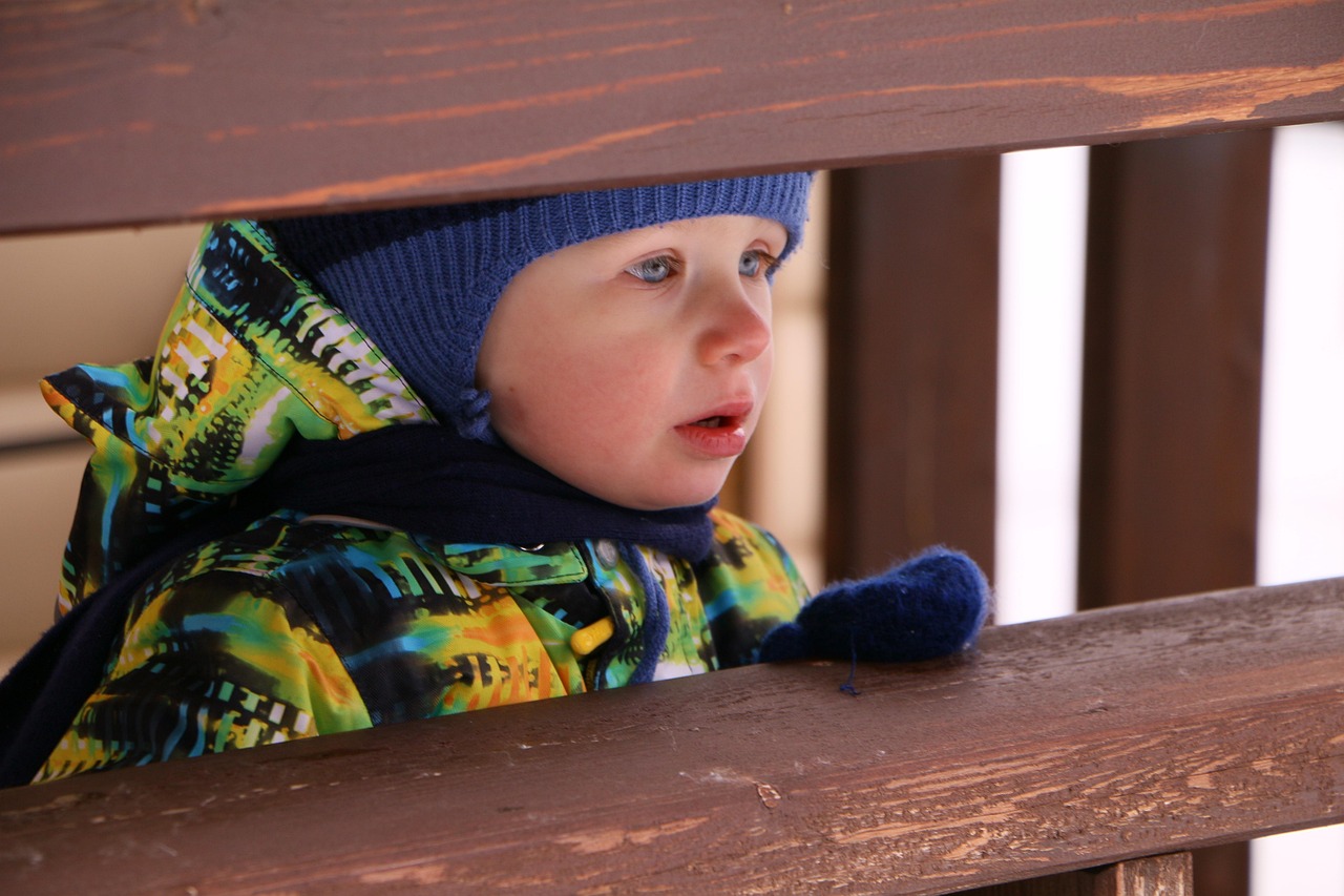 佟丽娅2025年多元发展动态，光芒不减，引人瞩目