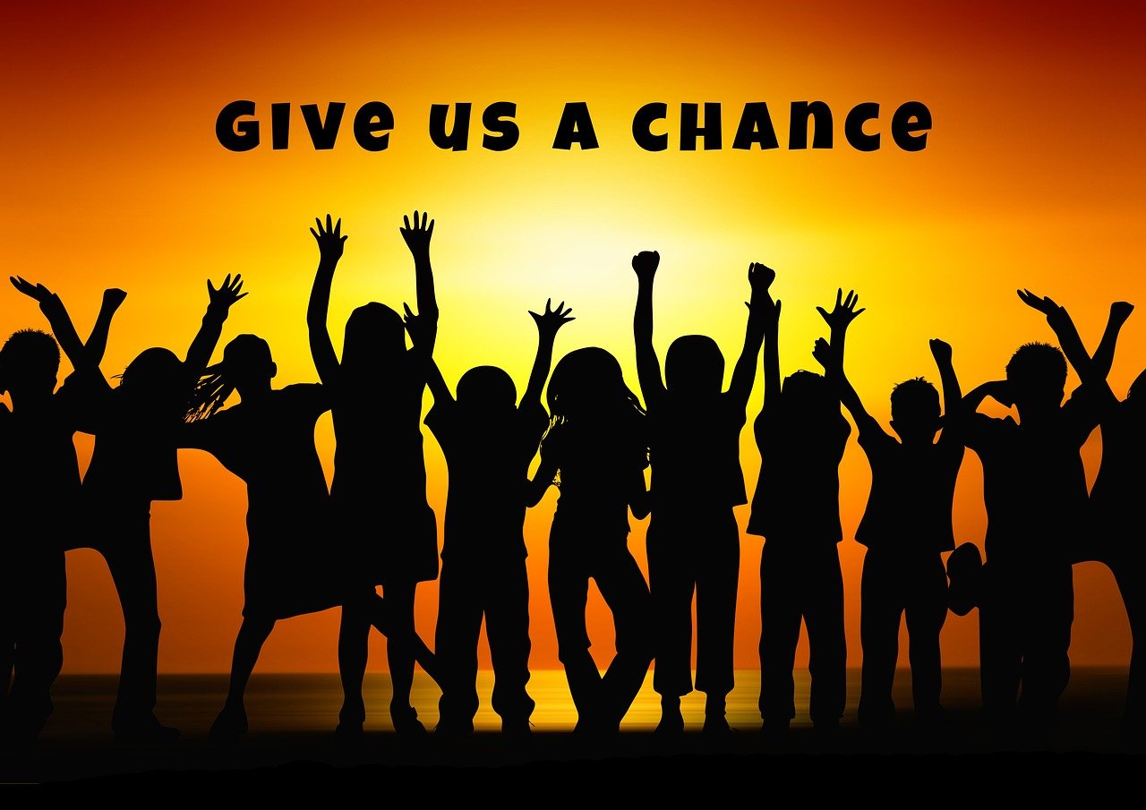 走进2025年，毛孩演员的现状与未来展望