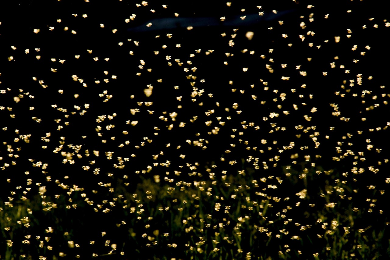 2025年台湾六月演员展望，未来之星闪耀舞台