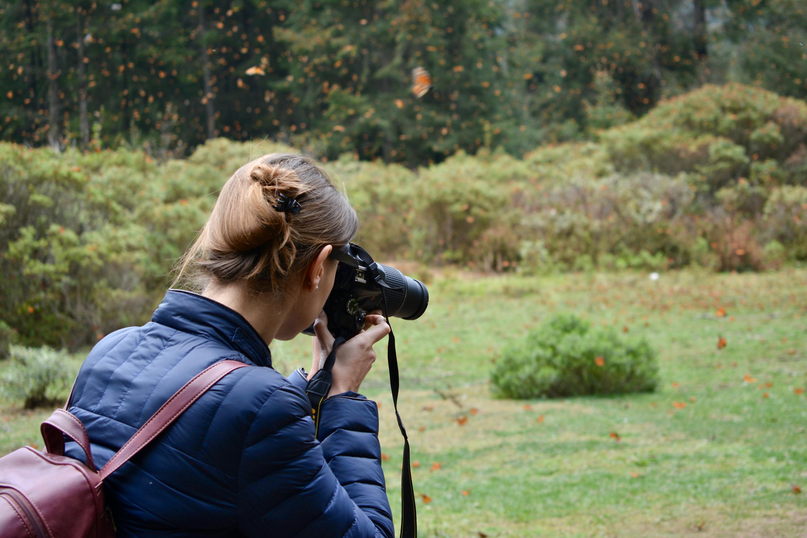跨越时空的维也纳之战，一部电影传奇（XXXX年）