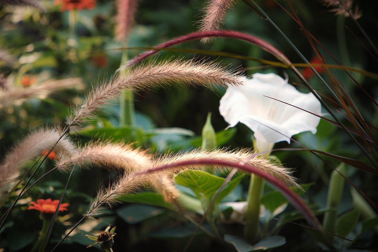 揭秘财神爷爷新动态,展望2025年的财富趋势与机遇