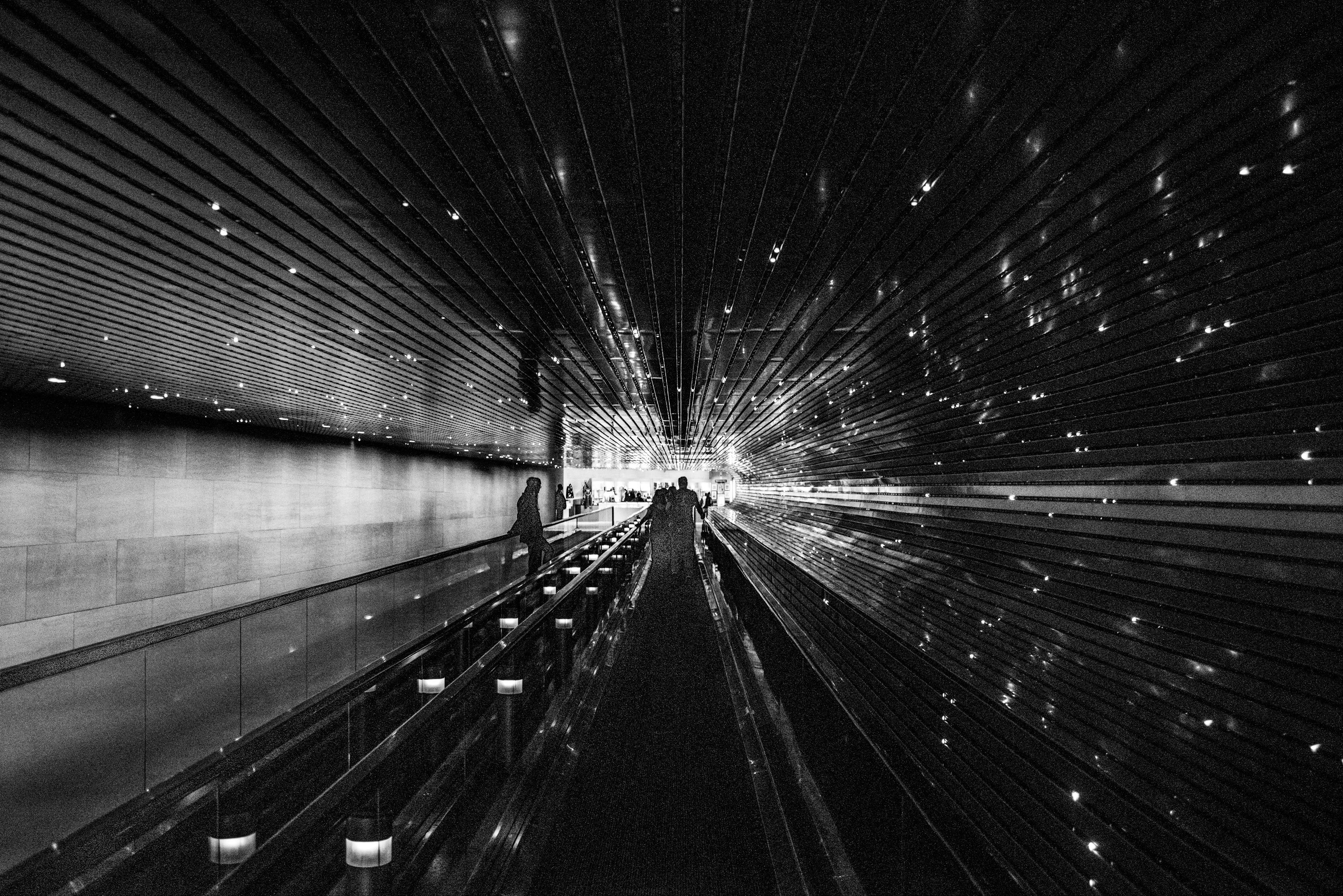 2025年蓝莓市场繁荣上市，展望蓝莓产业的未来