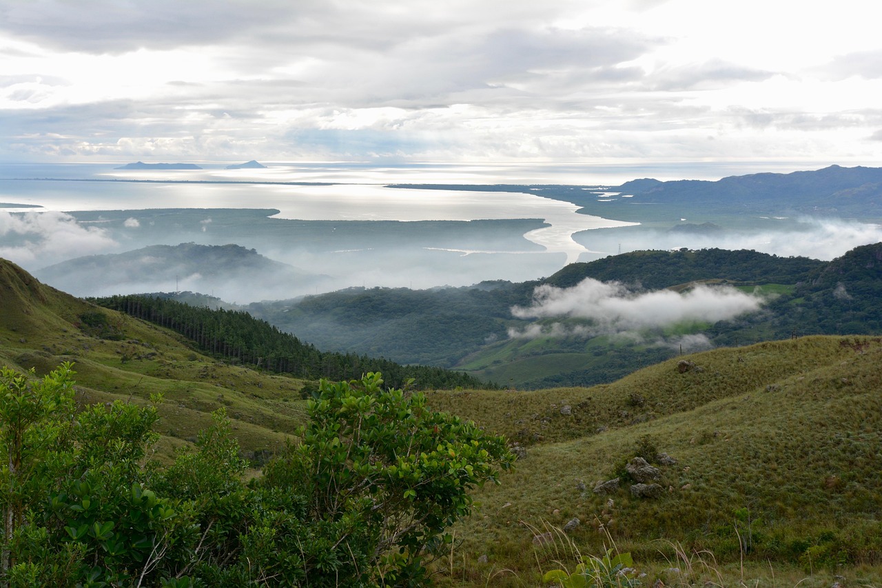 2025年白银市场最新动态概览