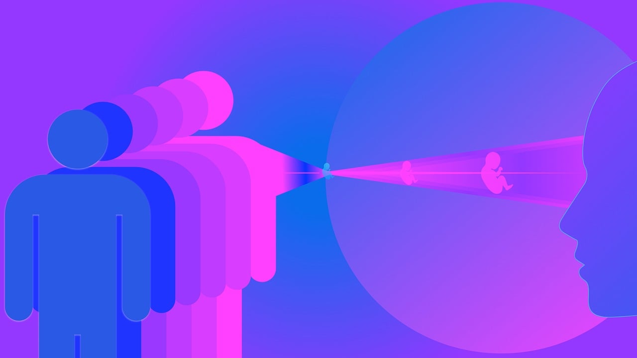 未来交融，2025年动漫白菜的想象与现实