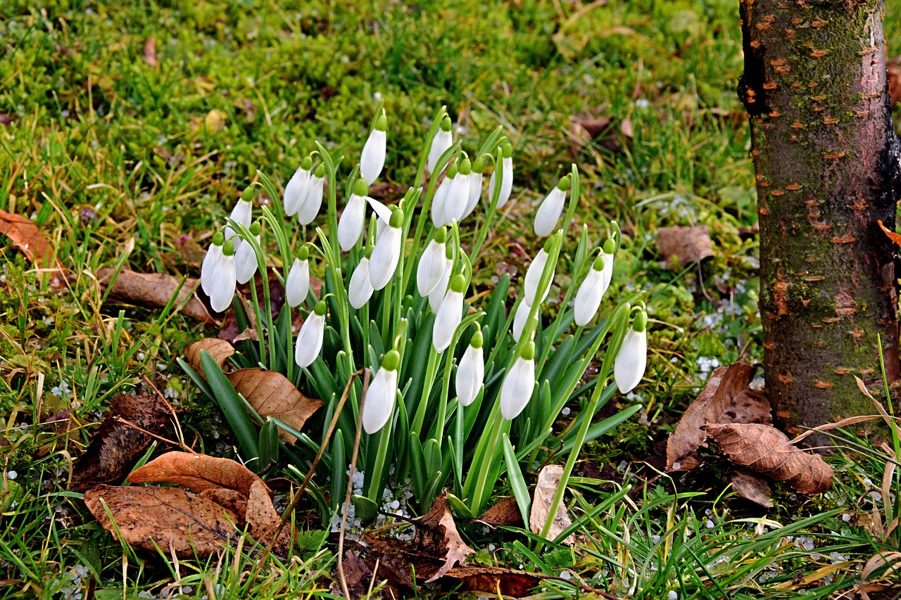 甘肃张怀仁的未来展望，最新动态与未来影响（2025年）