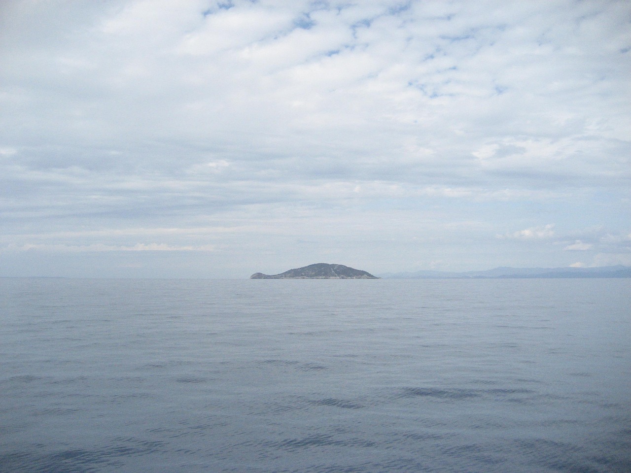 2025年颍上海洋公园最新动态，展望未来的海洋乐园发展