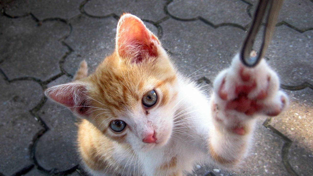 三月张默最新动态，开启新篇章