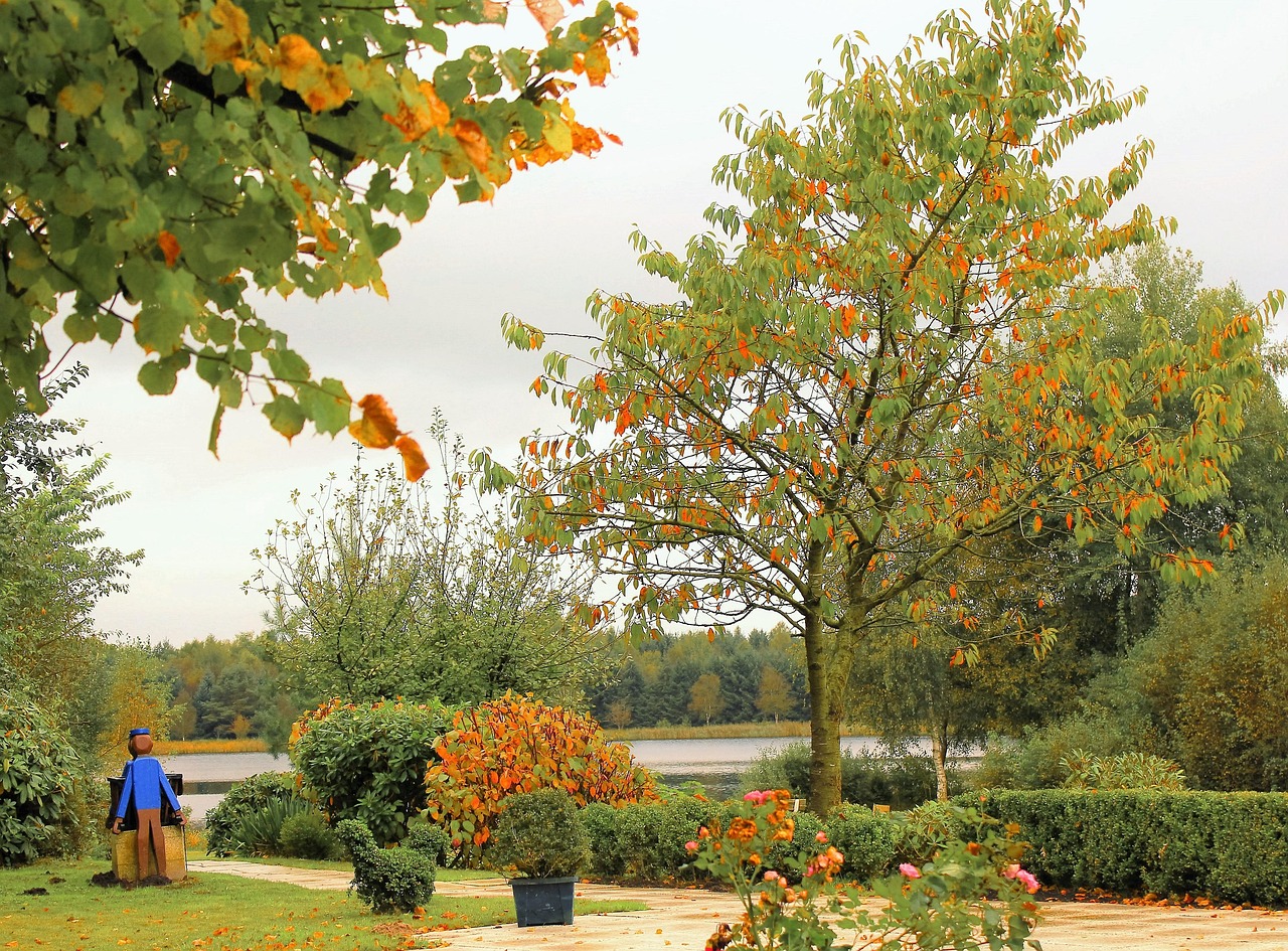 三月神经纤维瘤最新资讯概述,了解最新动态与进展