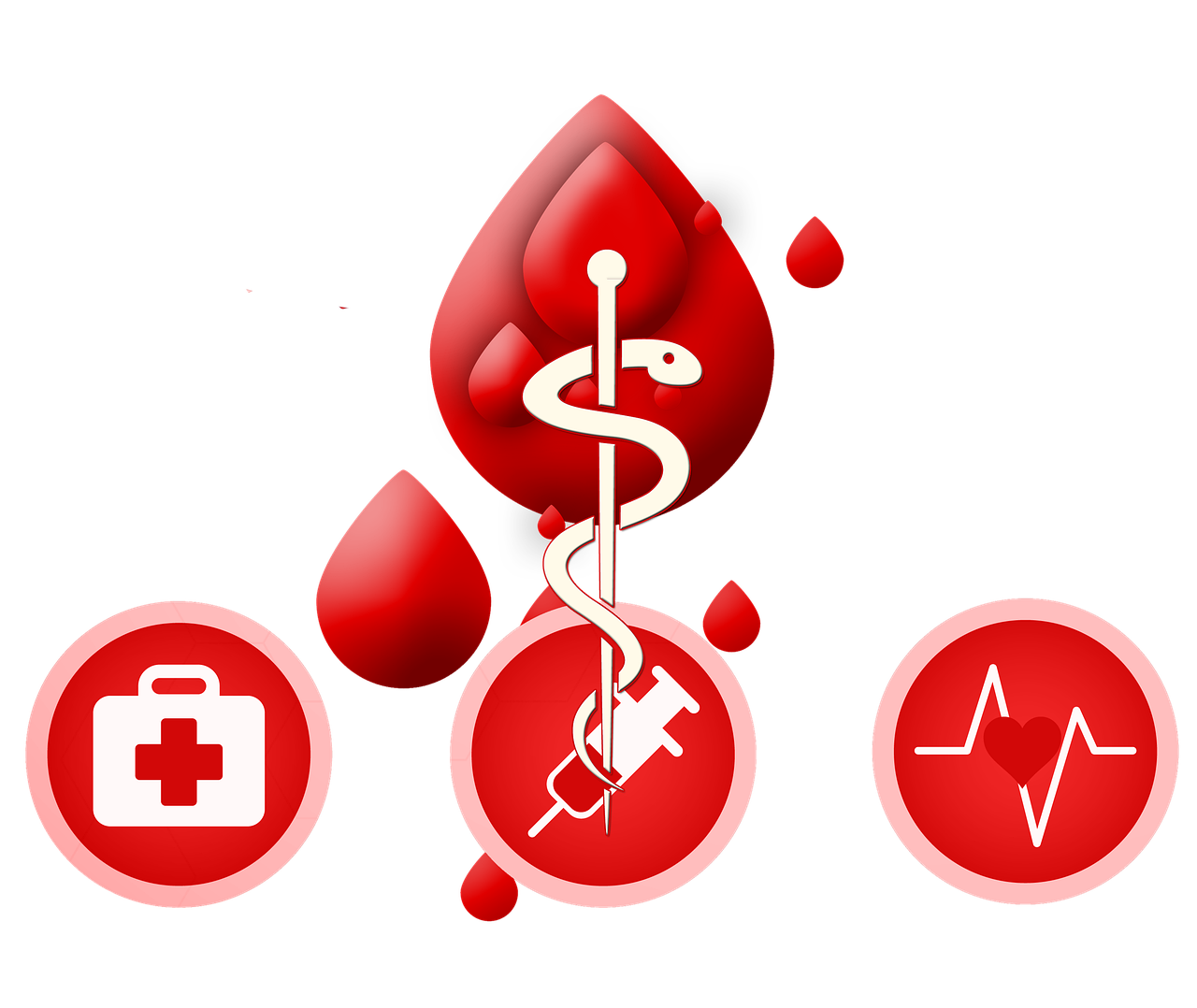 三月献血资讯,热血传递生命力量