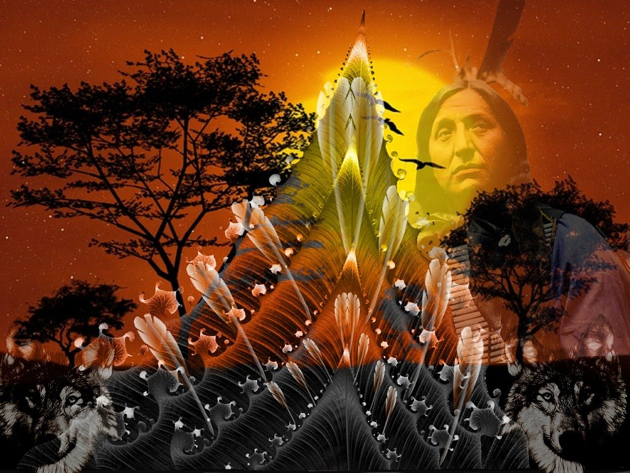 揭秘三月最新四暗星,探寻神秘光芒背后的秘密