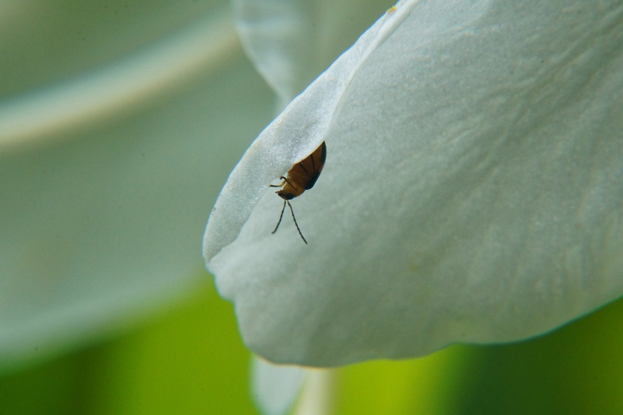 济南二环南路东延进展更新报告,聚焦2025年最新动态与进展更新