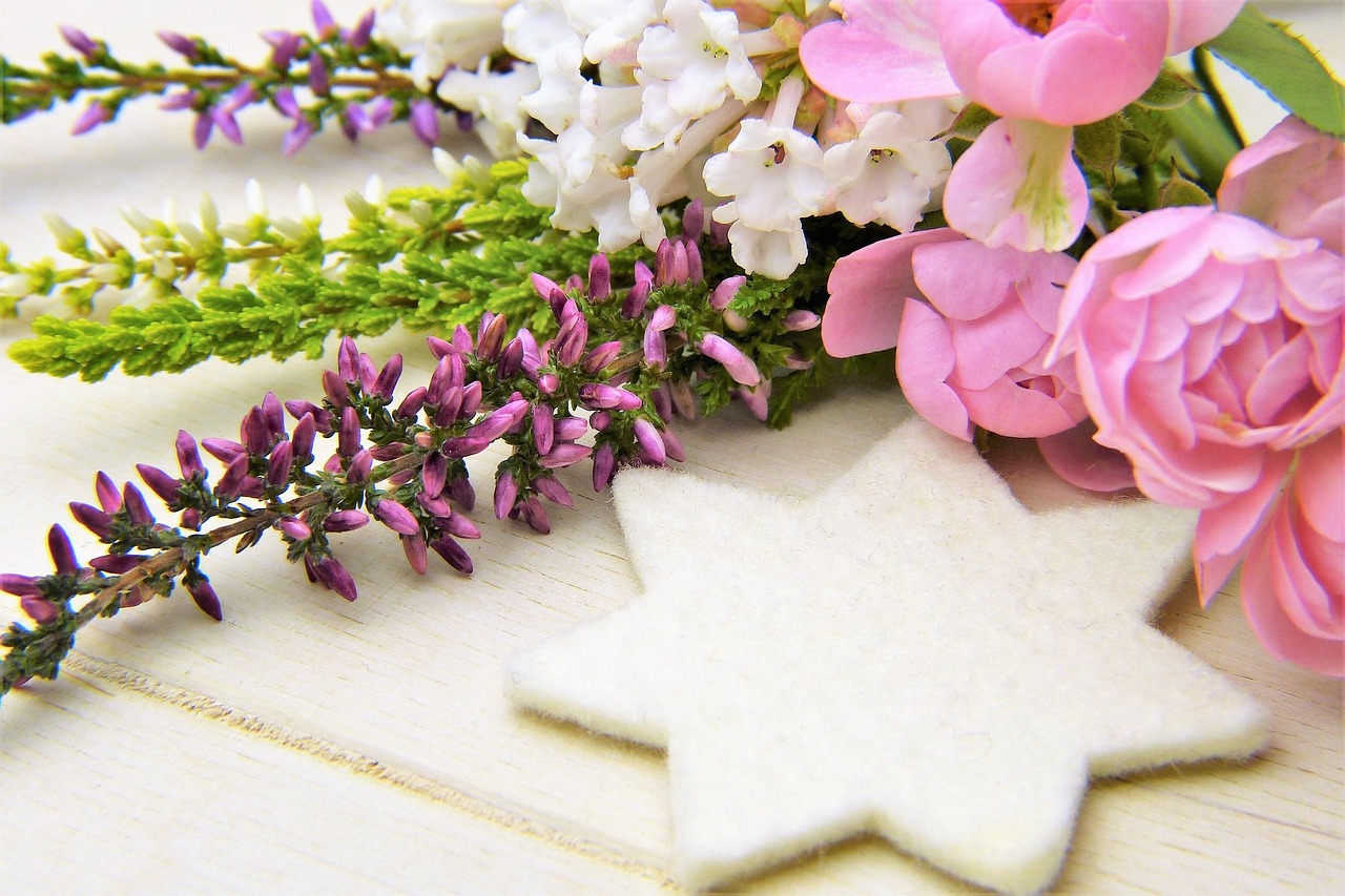 四月玫瑰盛开舞台，Rose演员的魅力之旅