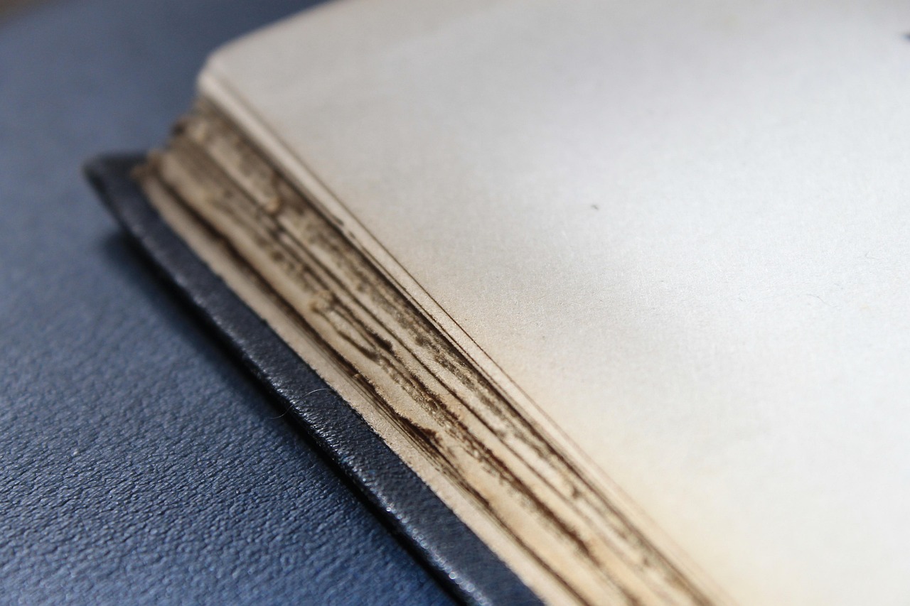 四月长沙店面租赁最新动态及市场分析，策略探讨