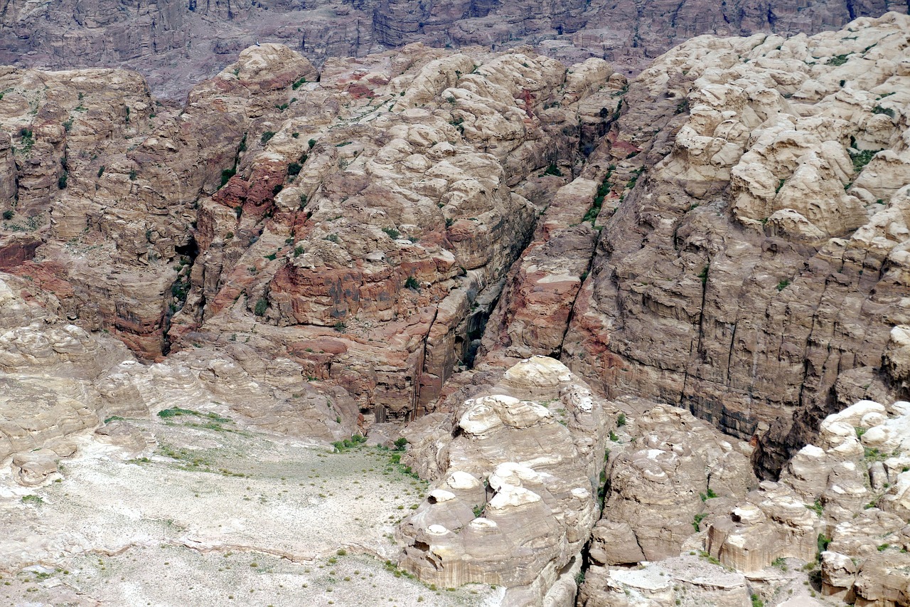 全球防疫动态，四月最新进展与未来展望