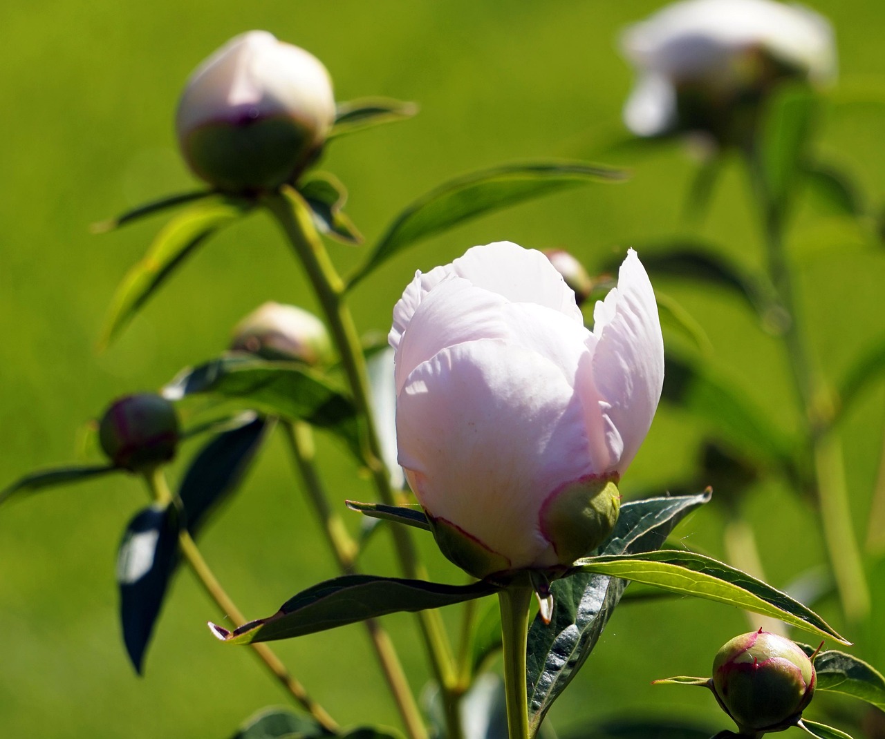 四月韩剧更新动态，最新韩剧概览与精彩剧情解析