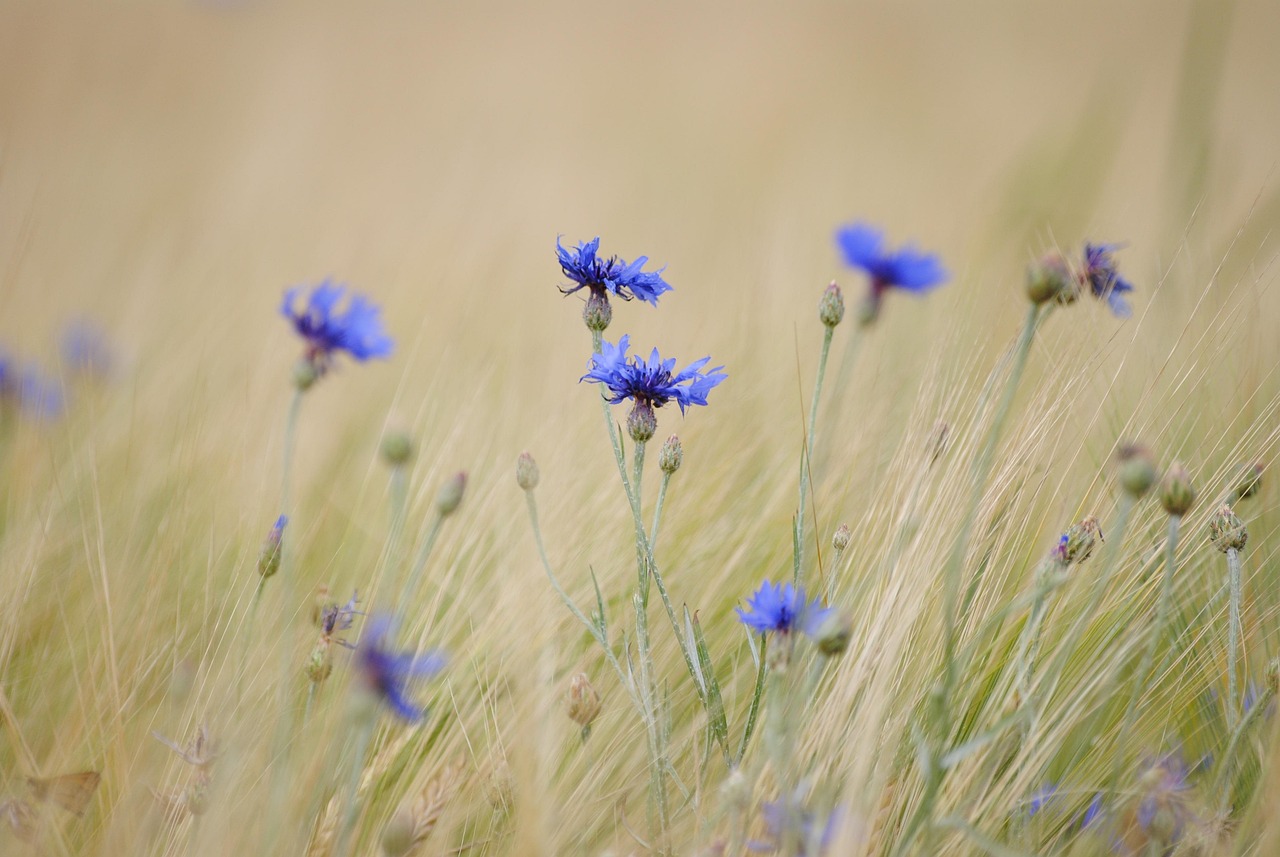 山东临沂高铁四月份进展及未来展望，最新动态揭秘