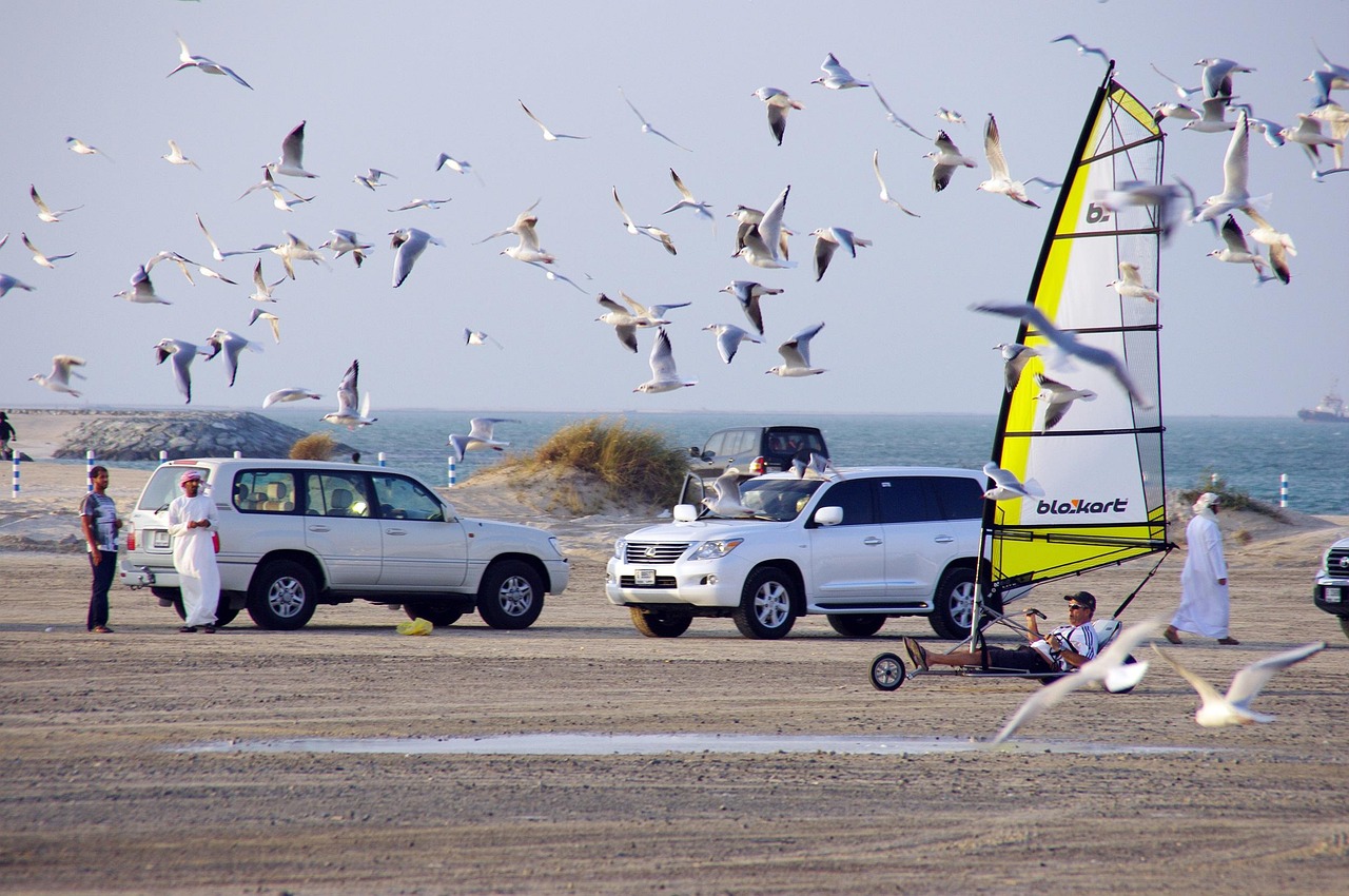 花开无言 第7页