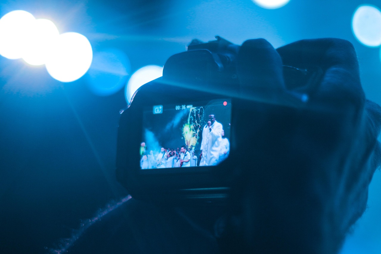 喵趣四月，春日的萌喵动态时光