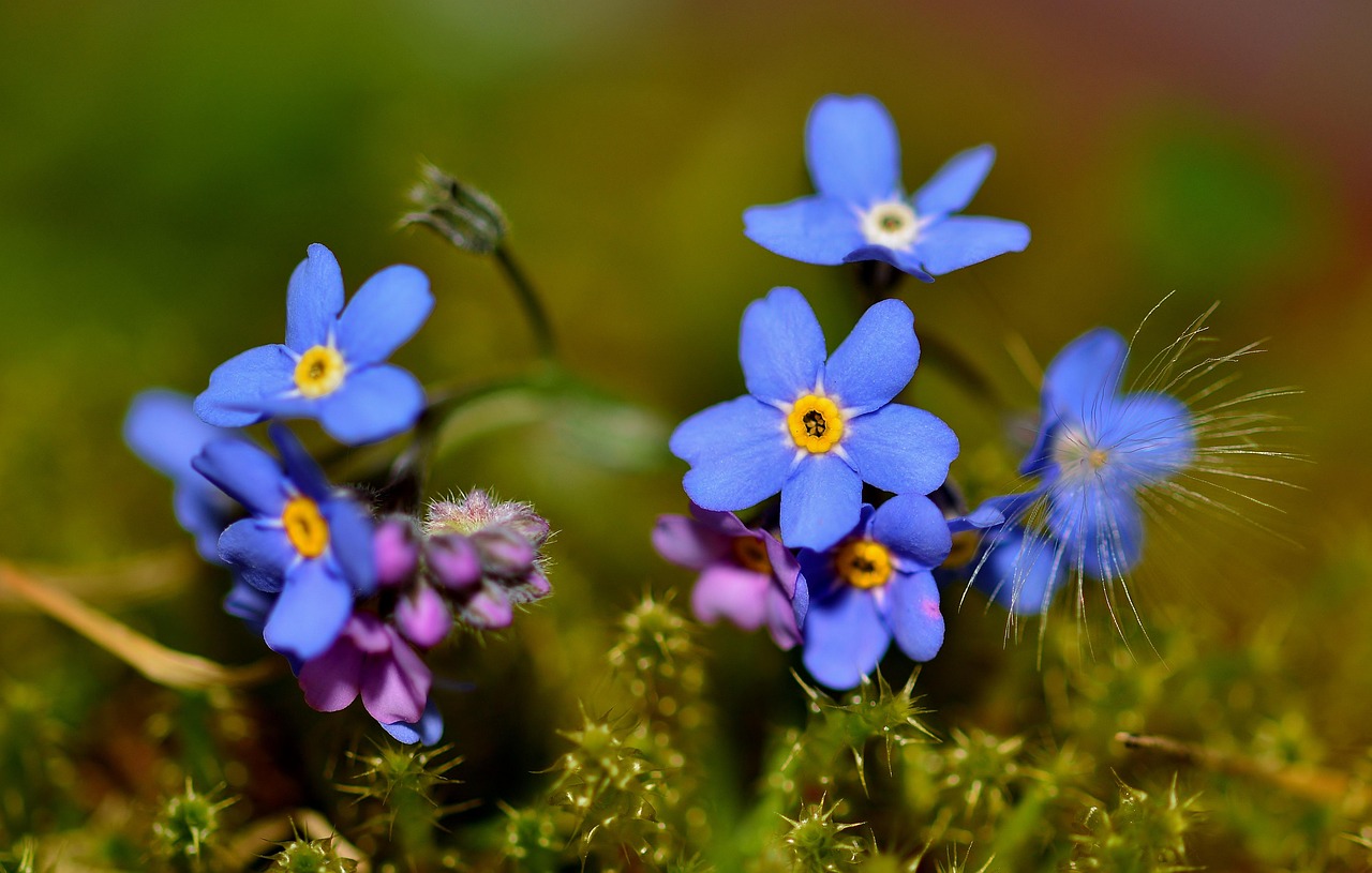 郑州宏福花园四月最新动态更新