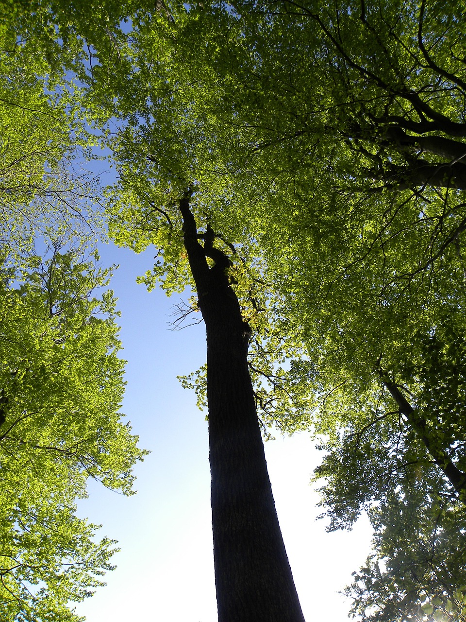 全能学生叶昊四月份最新动态，成长轨迹耀眼夺目