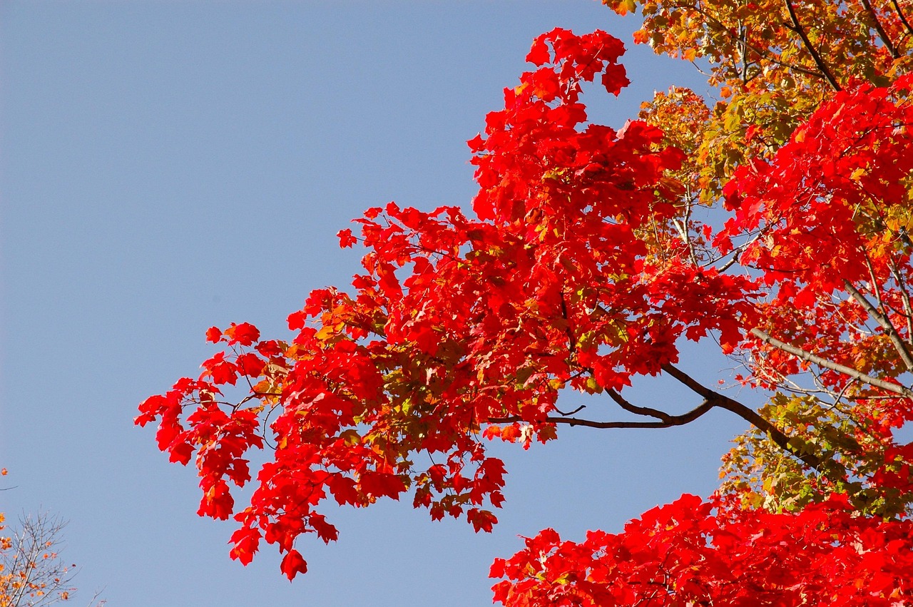 碾子山吧最新资讯更新,四月份动态概览