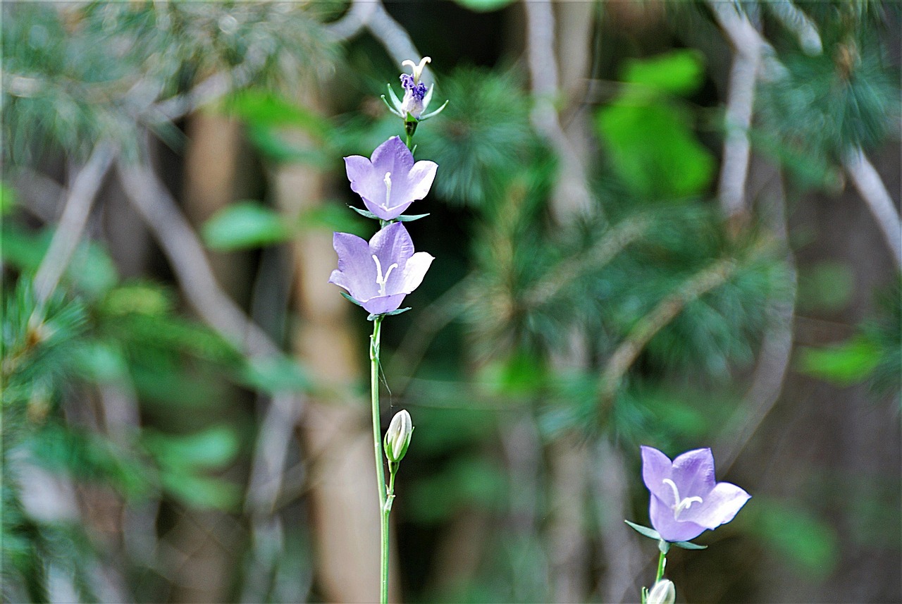 微信四月最新动态及特点解析