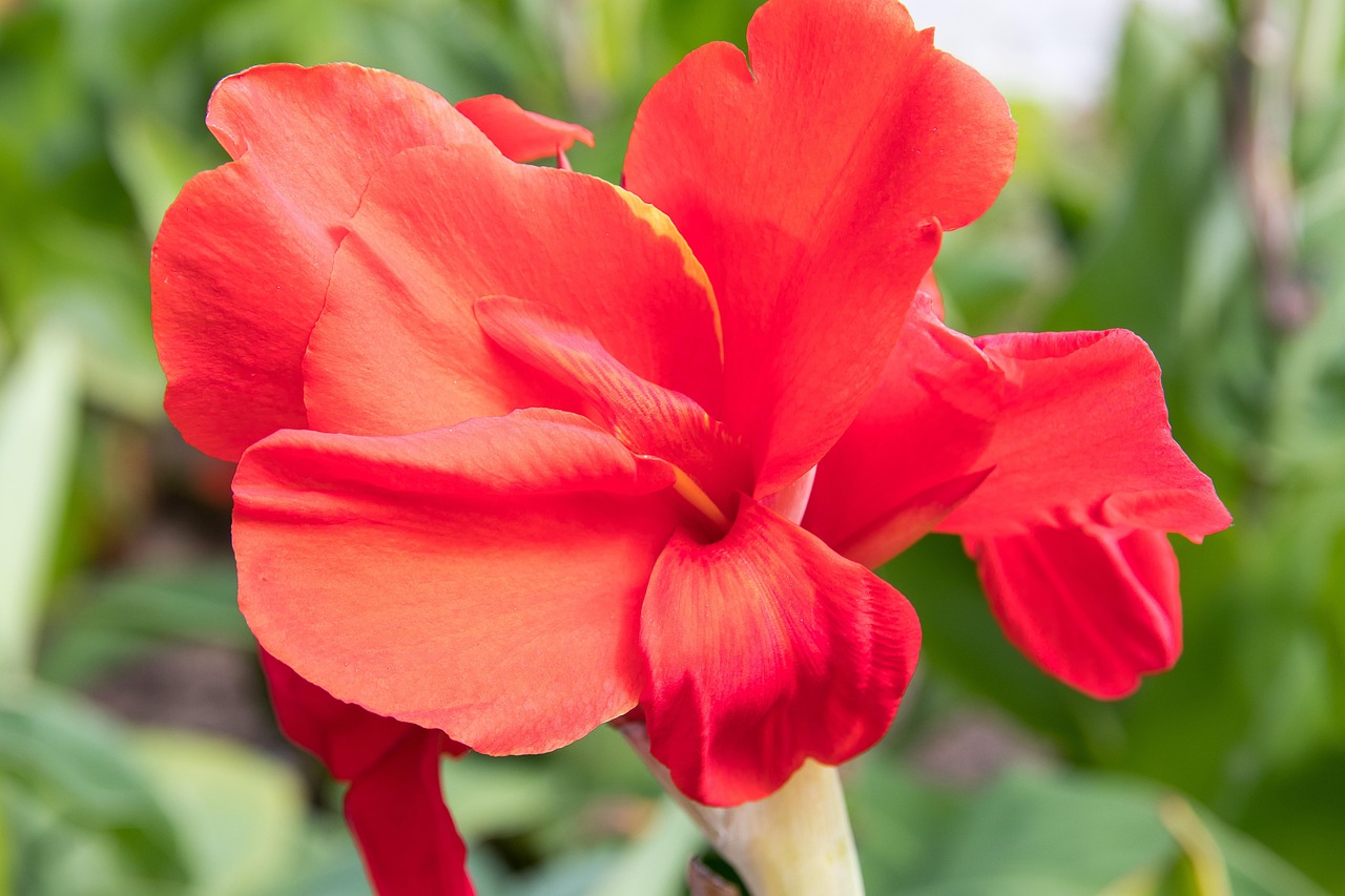 微信四月最新动态及特点解析