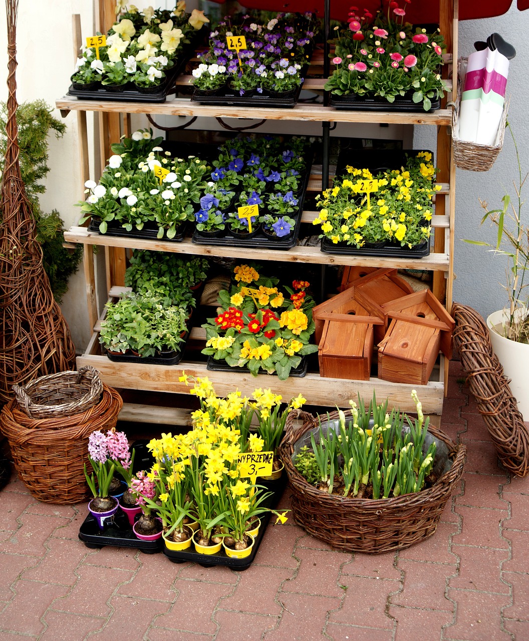 四月粉彩瓷器市场行情探秘