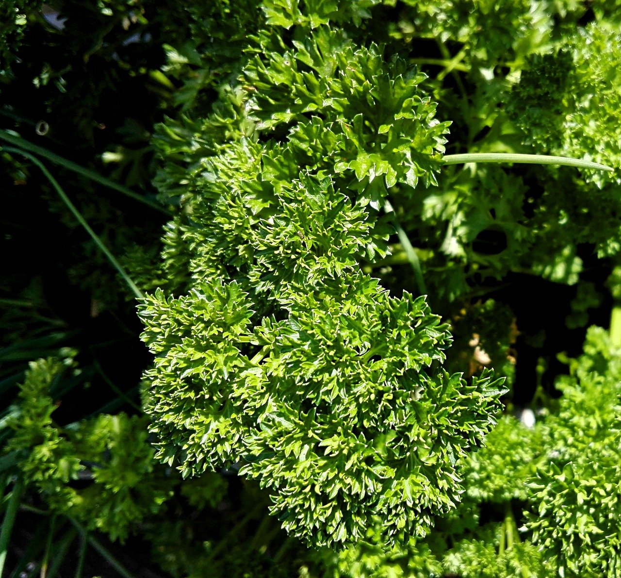 来女士最新动态，四月更新消息