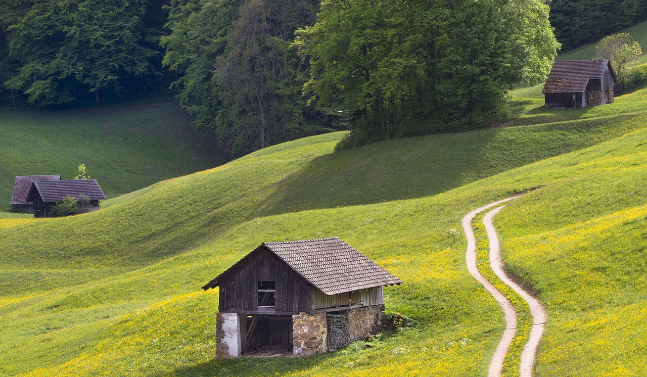 4月沪通大桥29号墩建设新进展速递，聚焦最新动态