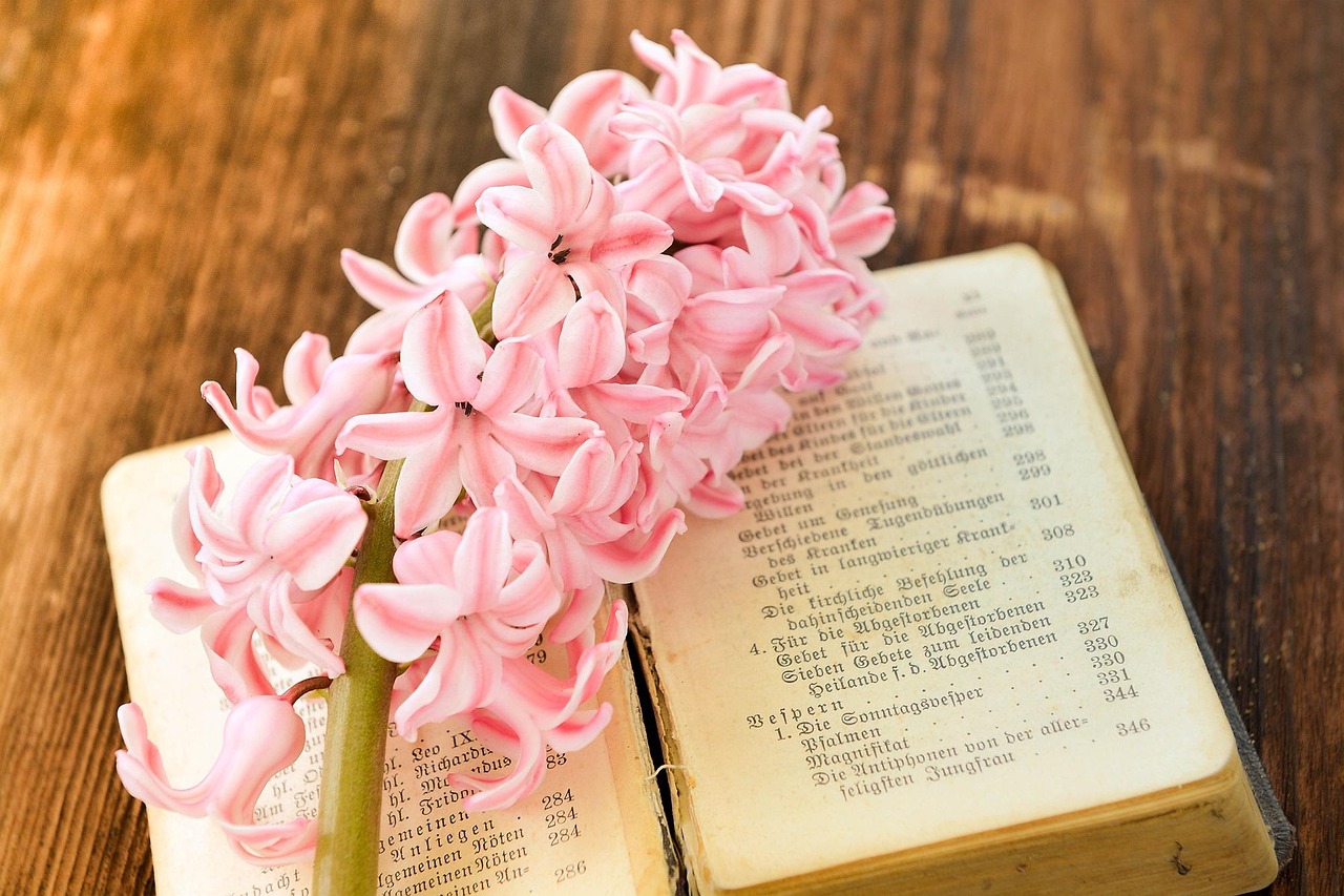 四月畅销小说热门推荐