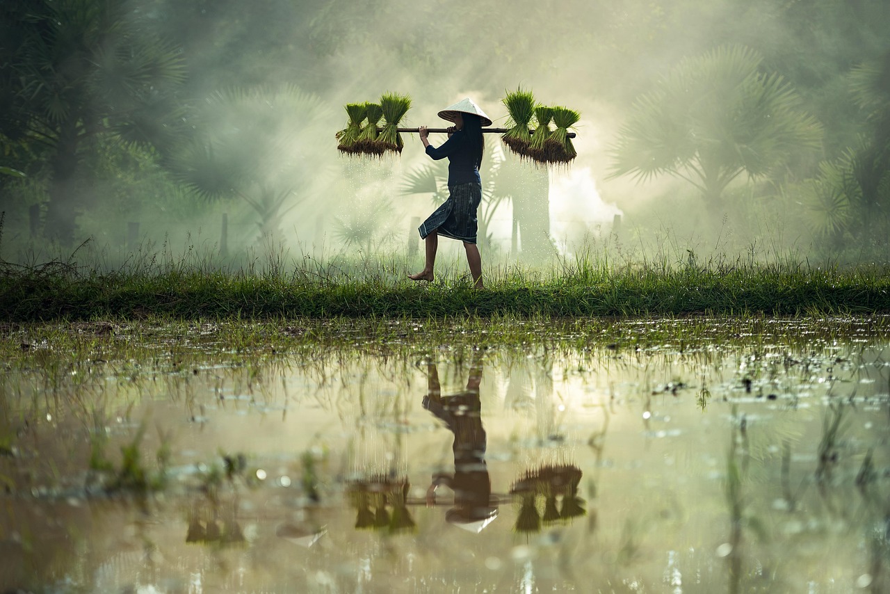 四月无贼,演员璀璨时刻的见证