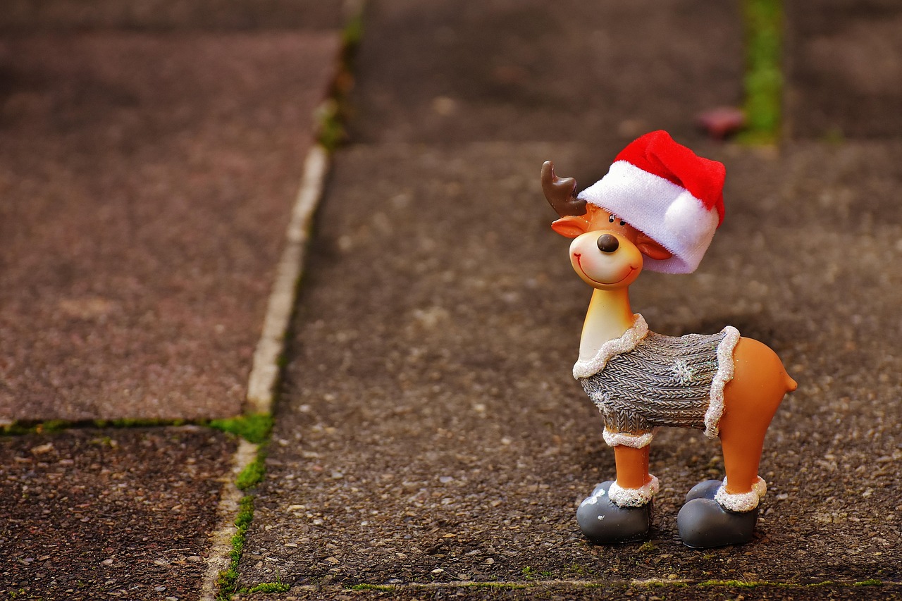 4月新郑新区资讯概览，最新动态与资讯