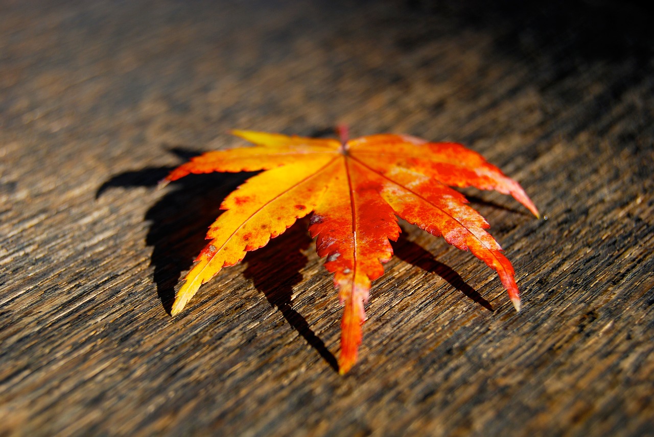 2025年4月 第12页