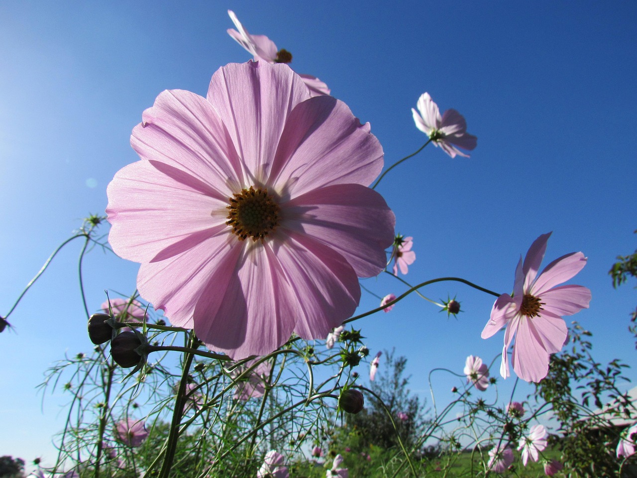 五月全球疫情动态，最新确诊分析与全球疫情概况