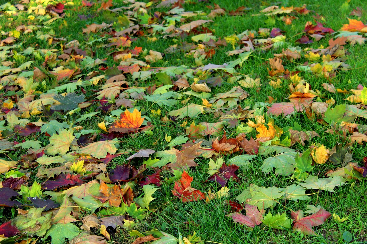 五月道州新鲜资讯一览