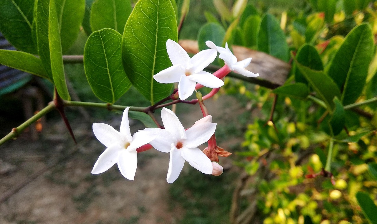 五月里的崔永元，最新动态与深度思考