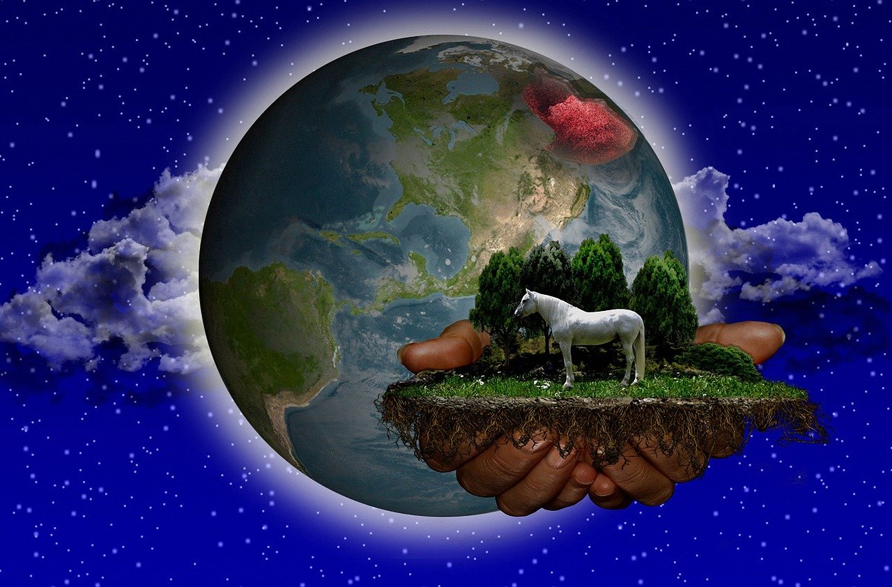 五月动漫游戏世界，虚拟奇幻之旅的探索